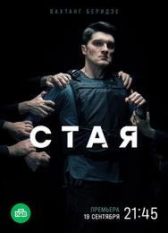 Стая