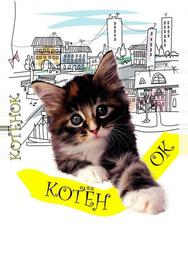 Котенок