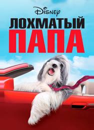 Лохматый папа