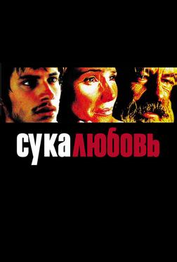 Сука-любовь Сука-любовь