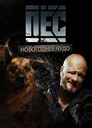 Пёс. Новогоднее чудо