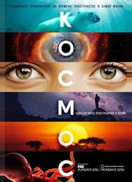 Космос: Одиссея через пространство и время