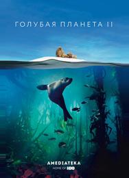 Голубая планета 2