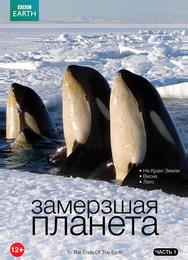 Замерзшая планета
