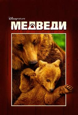 Медведи Медведи