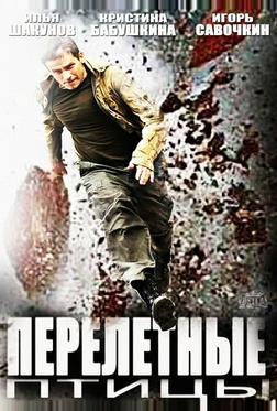 Перелётные птицы Перелётные птицы