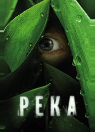 Река