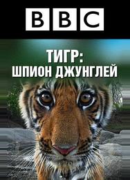 BBC: Тигр — Шпион джунглей