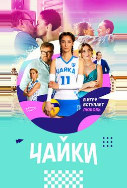 Чайки Чайки