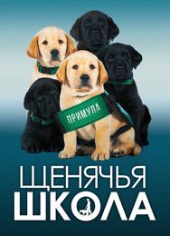 Выбор щенка