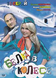 Белка в колесе