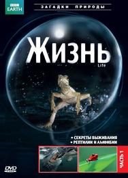 BBC: Жизнь
